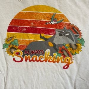 Disney Pocahontas Meeko sleep shirt pajamas